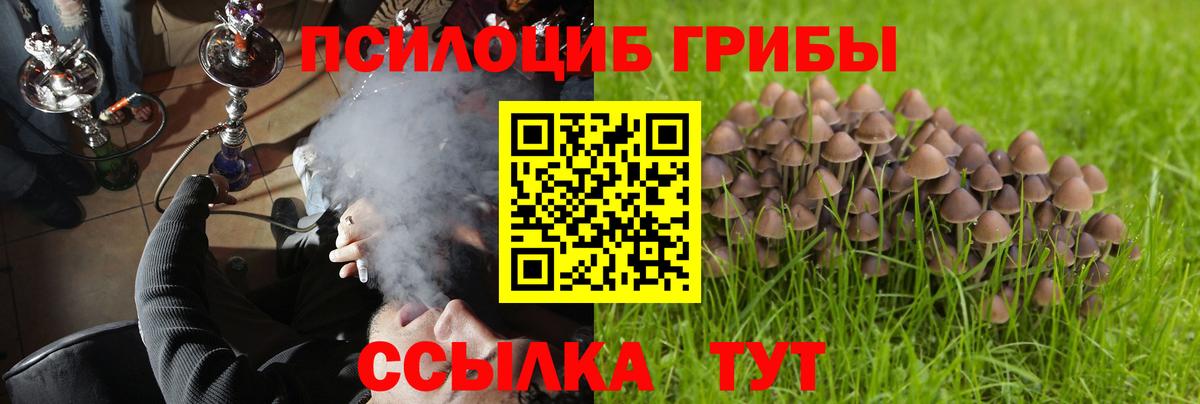 Каменск-Уральский  Псилоцибиновые грибы MAGIC MUSHROOMS  Псилоцибиновые грибы Cubensis  Вход с VPN 