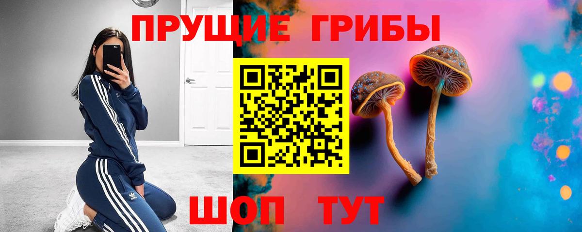 Галлюциногенные грибы MAGIC MUSHROOMS Каменск-Уральский
